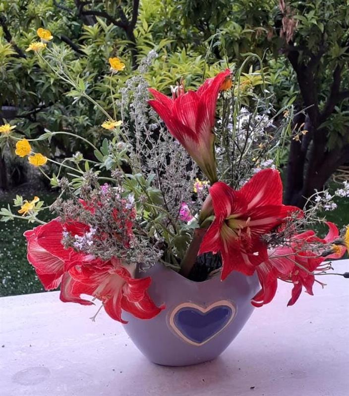 Ponti di Primavera in Liguria